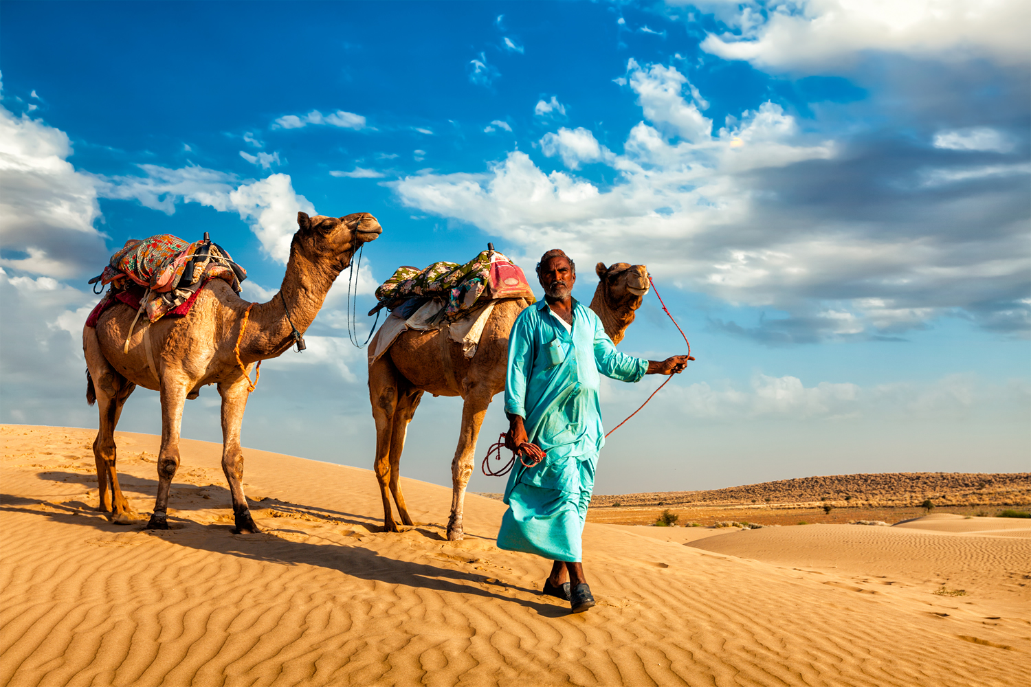 Pastoral Camel Herders